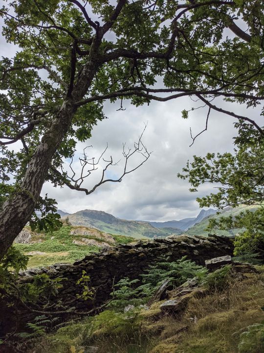 An old stone wall in the Lake District.