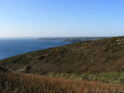 Gorse and the coast