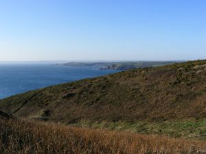 Gorse and the coast
