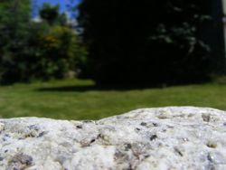 Granite vs the garden