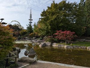 A pond in the Japanese garden at Planten un Blomen, Hamburg, with the Heinrich Hertz Tower behind.