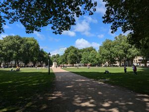 Queens Square, my favourite area of Bristol. I like the lighting in this photo and feel like it captures the energy of the square well.