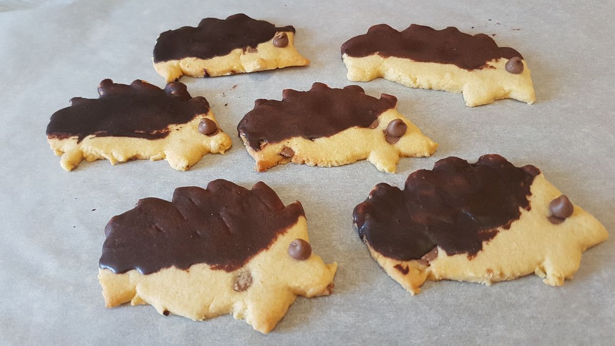 The cover image for "Would you like a cookie?"