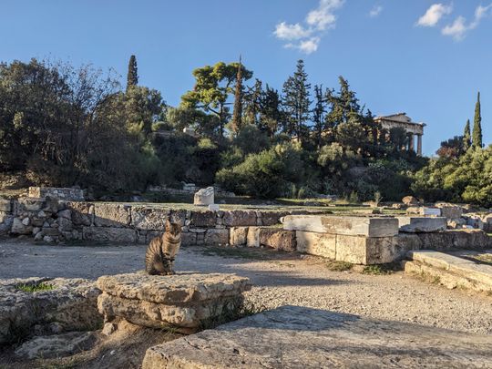 A cat in the ancient agora of Athens. I like the composition and how happy the cat looks.