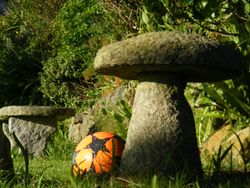 An orange ball next to a granite mushroom stall.